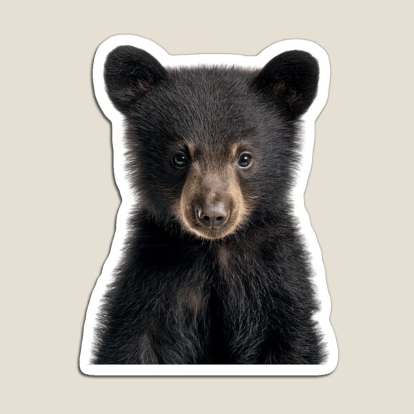Item preview, Adorable Baby Black Bear for Cute Black Bear lovers designed and sold by LazyOwlStore.