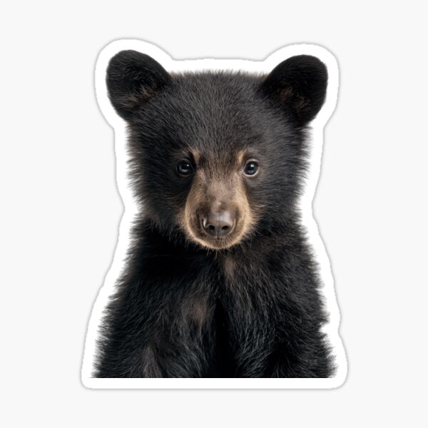 Item preview, Adorable Baby Black Bear for Cute Black Bear lovers designed and sold by LazyOwlStore.