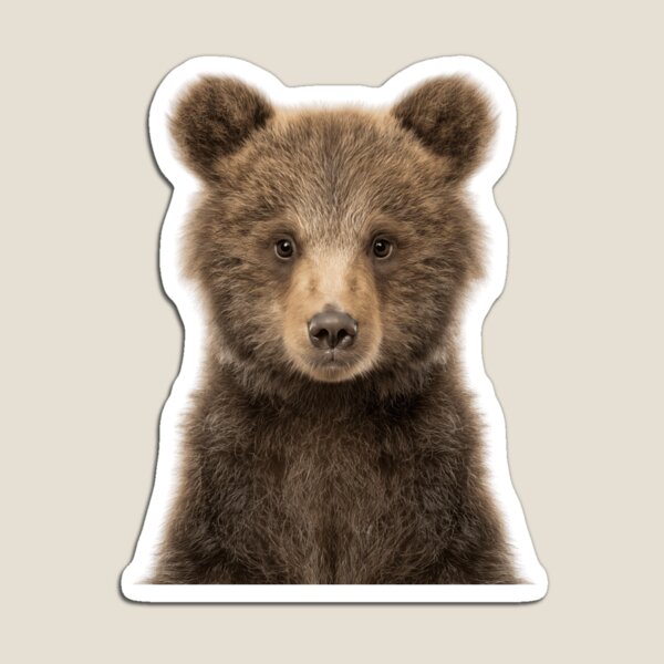 Item preview, Adorable Baby Brown Bear for Cute Brown Bear lovers designed and sold by LazyOwlStore.