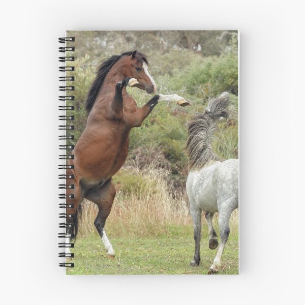 Item preview, Stallions at play designed and sold by Rivington.