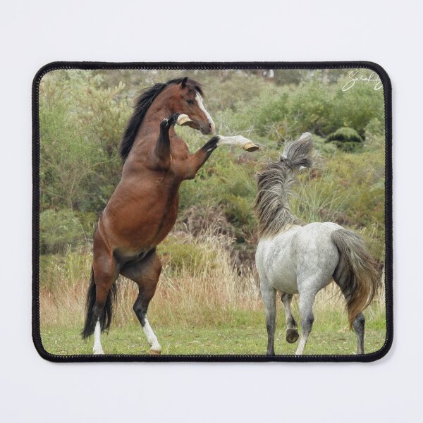 Item preview, Stallions at play designed and sold by Rivington.