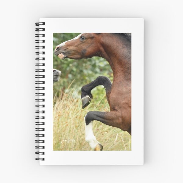 Item preview, Stallion Rearing designed and sold by Rivington.