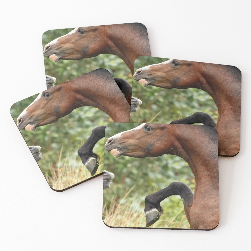 Item preview, Coasters (Set of 4) designed and sold by Rivington.