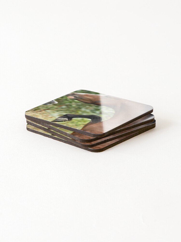 Thumbnail 4 of 5, Coasters (Set of 4), Stallion Rearing designed and sold by Rivington.