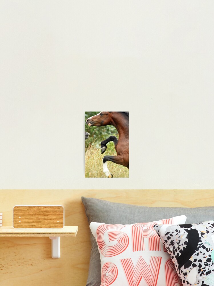 Thumbnail 2 of 3, Photographic Print, Stallion Rearing designed and sold by Rivington.