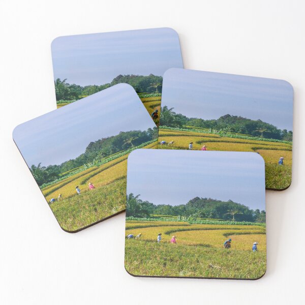 Item preview, Harvesting Rice in Indonesia – Rural Landscape & Traditional Farming Photography designed and sold by Cole's Design.