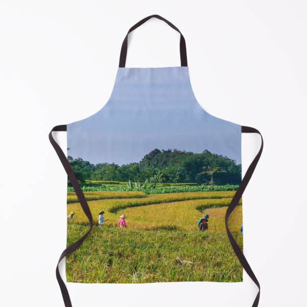 Item preview, Harvesting Rice in Indonesia – Rural Landscape & Traditional Farming Photography designed and sold by Cole's Design.