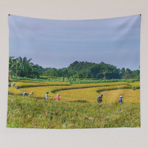 Item preview, Harvesting Rice in Indonesia – Rural Landscape & Traditional Farming Photography designed and sold by Cole's Design.