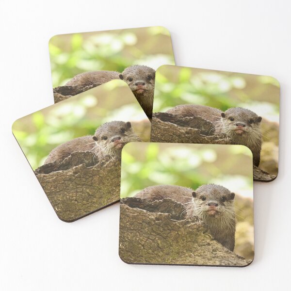 Item preview, Young shy otter designed and sold by Sheila Smith.