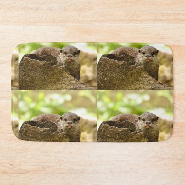 Item preview, Young shy otter designed and sold by Sheila Smith.