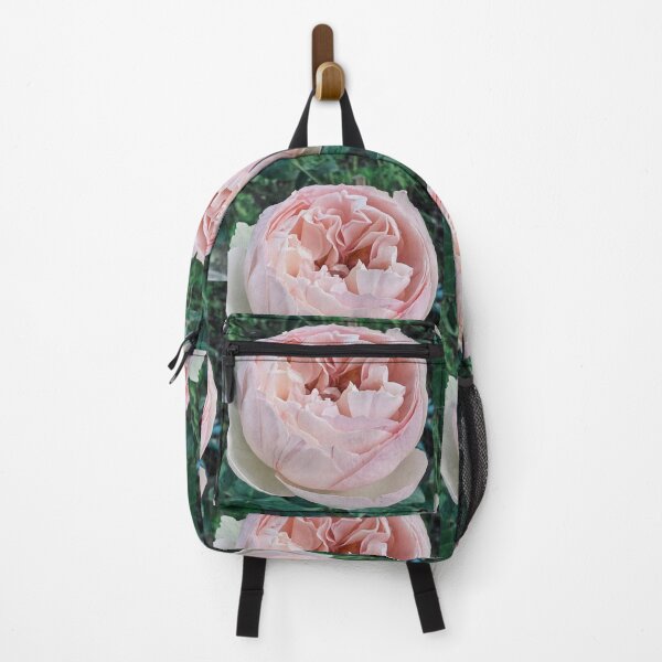Item preview, Soft Pink Cabbage Rose Blooming designed and sold by evewaeve.
