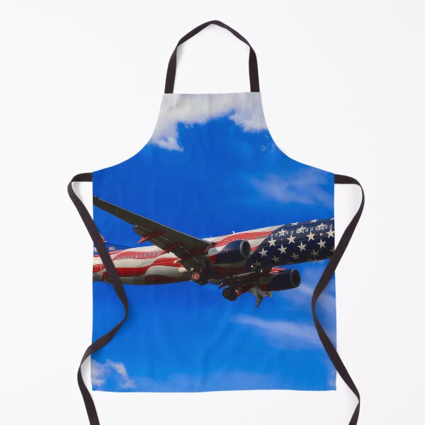 Item preview, Southwest Boeing 737-800 designed and sold by Skyframe Aviation.