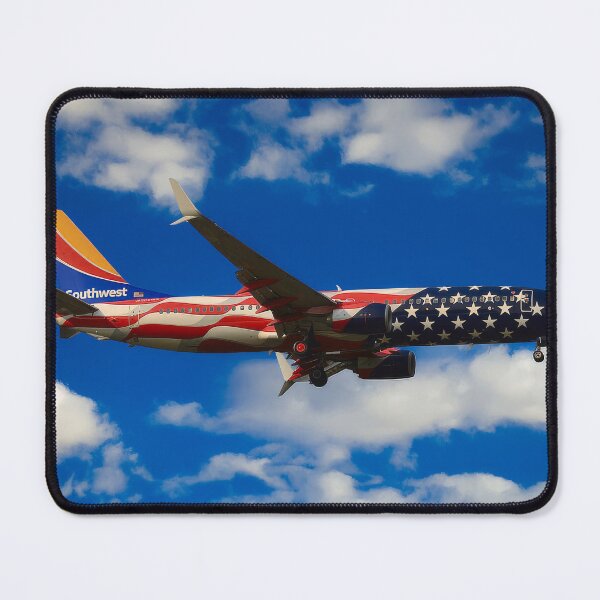 Item preview, Southwest Boeing 737-800 designed and sold by Skyframe Aviation.