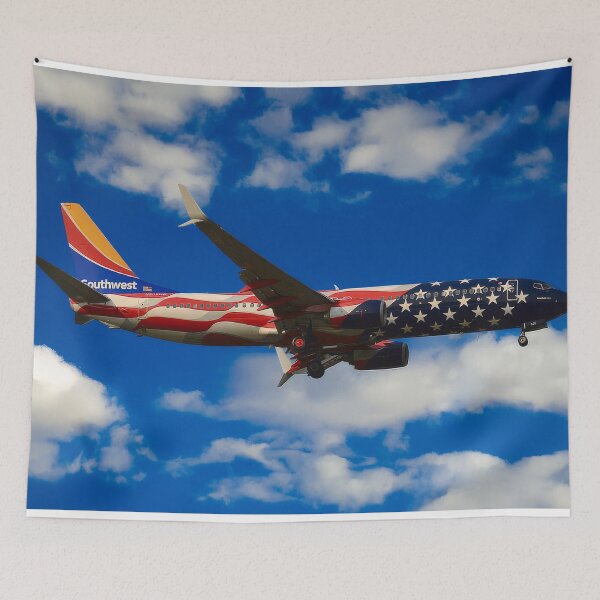 Item preview, Southwest Boeing 737-800 designed and sold by Skyframe Aviation.