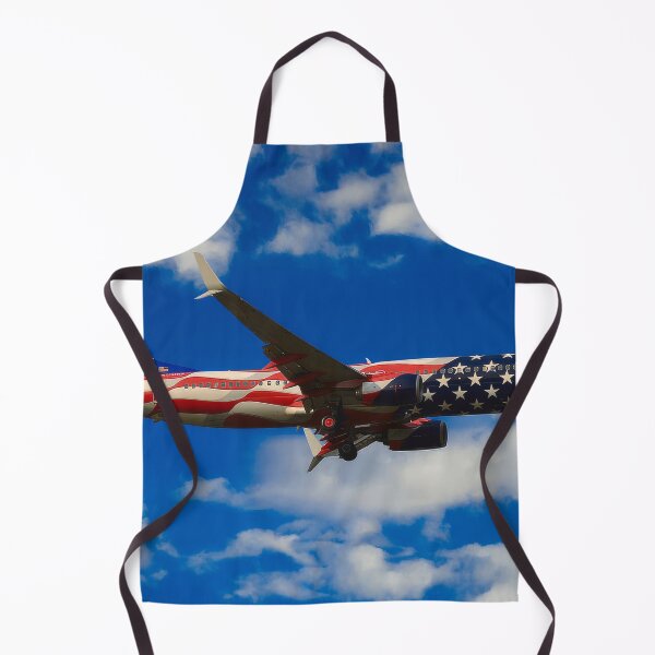 Item preview, Southwest Boeing 737-800 designed and sold by Skyframe Aviation.