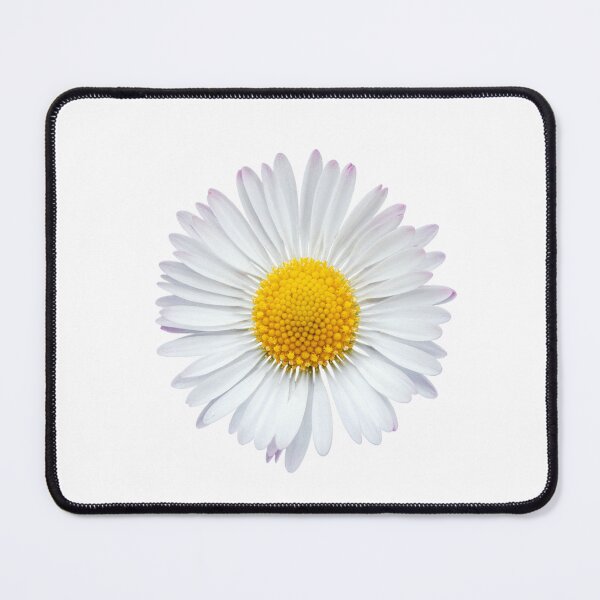Item preview, Days and Daisies designed and sold by Camilleonart.