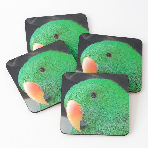 Item preview, Eclectus Parrot designed and sold by pawprintz.
