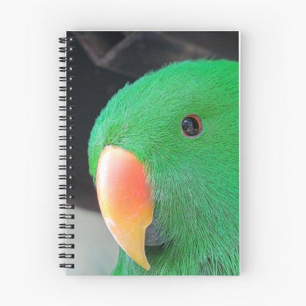 Item preview, Eclectus Parrot designed and sold by pawprintz.
