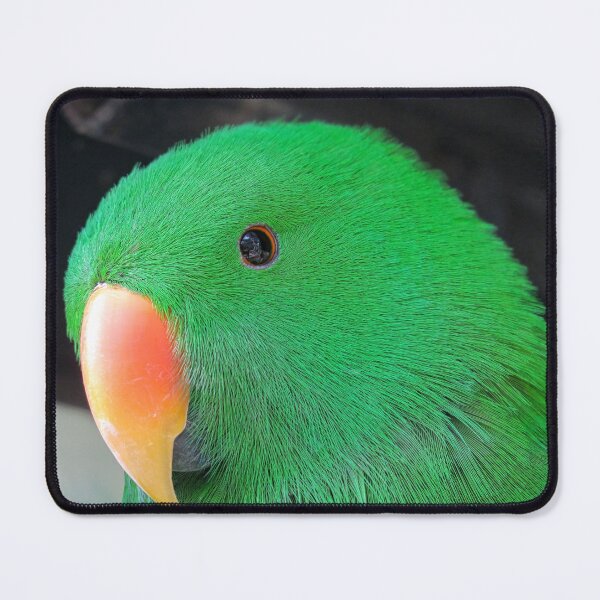 Item preview, Eclectus Parrot designed and sold by pawprintz.