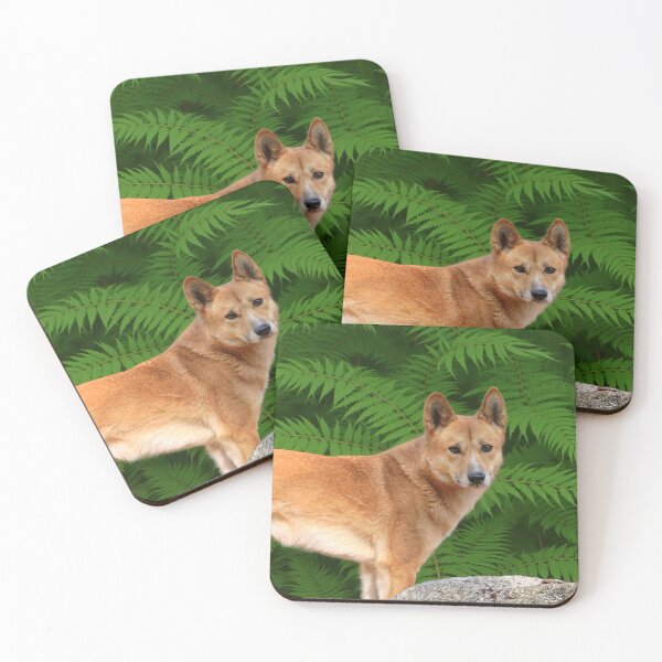 Item preview, Dingo designed and sold by pawprintz.