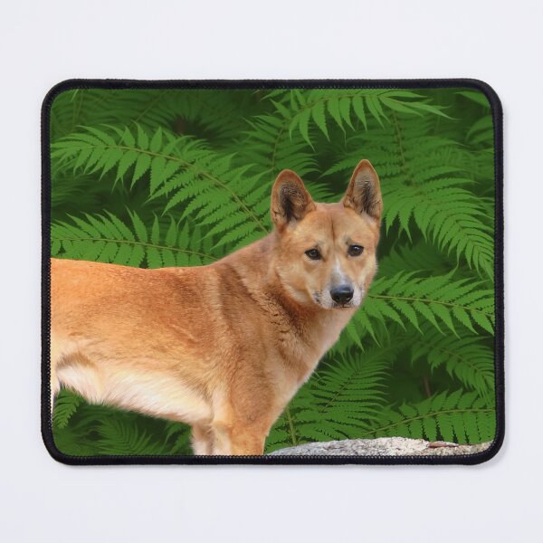 Item preview, Dingo designed and sold by pawprintz.