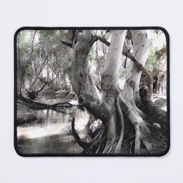 Item preview, WALL ART, RURAL SCENE IN OUTBACK AUSTRALIA designed and sold by Barbara Jean Photo Art And Design.