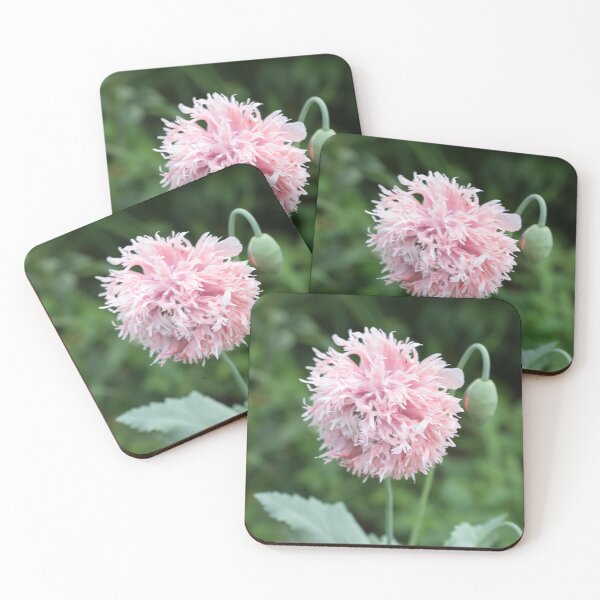 Item preview, Cool Frilly Poppy Blossom in Baby Pink designed and sold by Georgia Mizuleva.