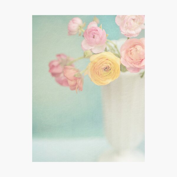 Daydream Photographic Print