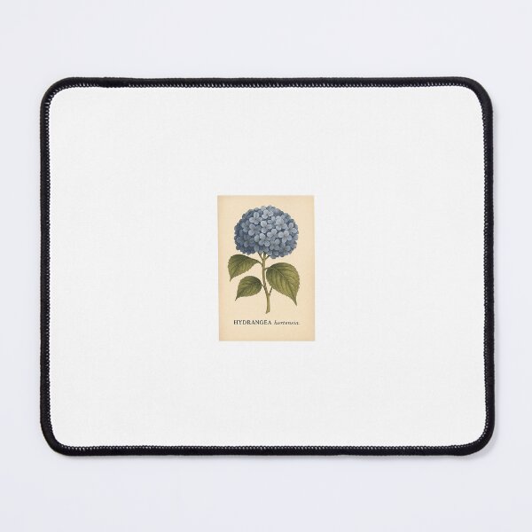 Item preview, Hydrangea hortensia designed and sold by ValiDBloom.