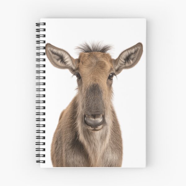 Item preview, Adorable Baby Wildebeest for Cute Wildebeest lovers designed and sold by LazyOwlStore.