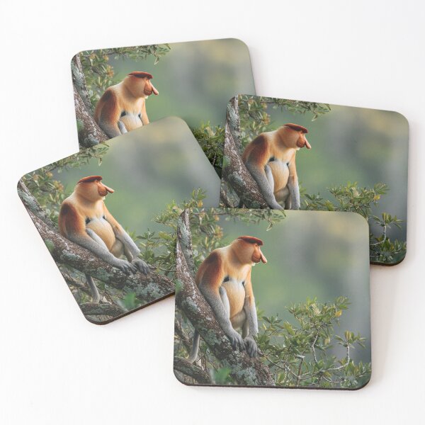 Item preview, Proboscis monkey designed and sold by ArtfulPlay.