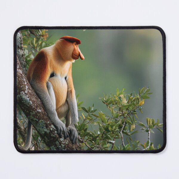 Item preview, Proboscis monkey designed and sold by ArtfulPlay.
