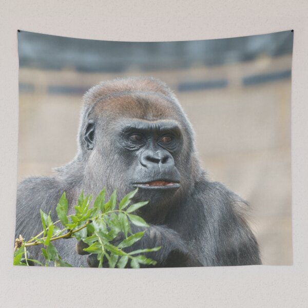 Item preview, Power and Peace of a Gorilla Mother designed and sold by rawshutterbug.