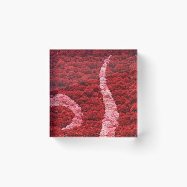 Item preview, Flowers at the Fallas in Valencia designed and sold by RaquelClausi.