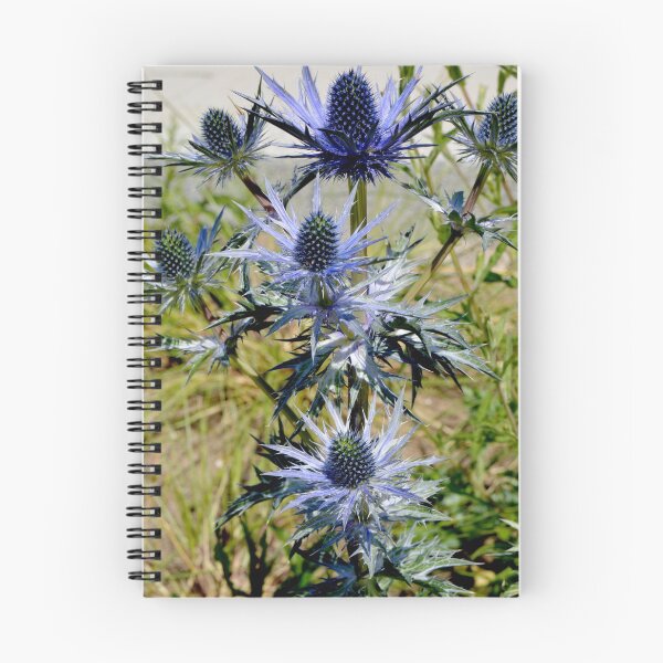 Item preview, Thistle in the wild designed and sold by Frank  Irwin.