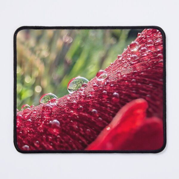 Item preview, Raindrops on Glads designed and sold by Emily Noyes.