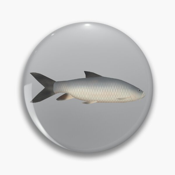 Artikelvorschau, Tor Mahseer entworfen und verkauft von fishfolkart.