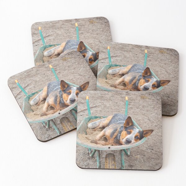 Item preview, Cattle dog Toby  designed and sold by TDanimals.