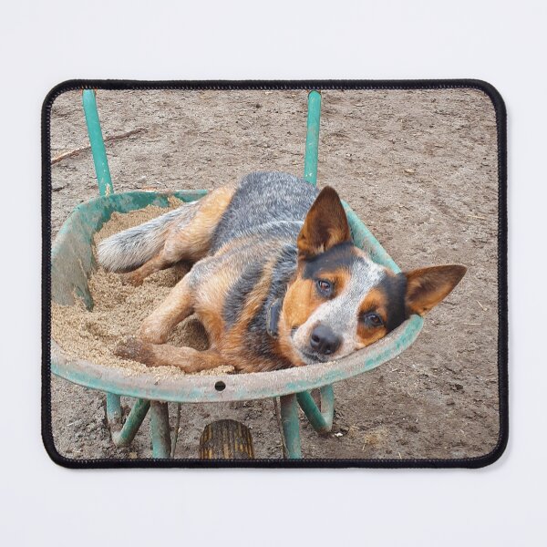 Item preview, Cattle dog Toby designed and sold by TDanimals.