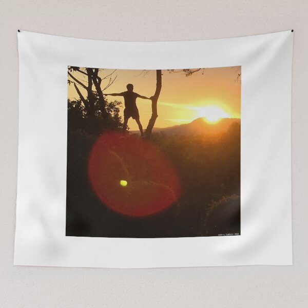 Aperçu de l'œuvre Coucher de soleil Provence 18 créée et vendue par Anders Lidholm.