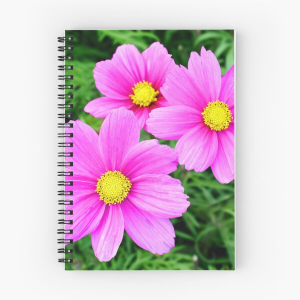 Item preview, Beautiful pink Dahlias designed and sold by Frank  Irwin.