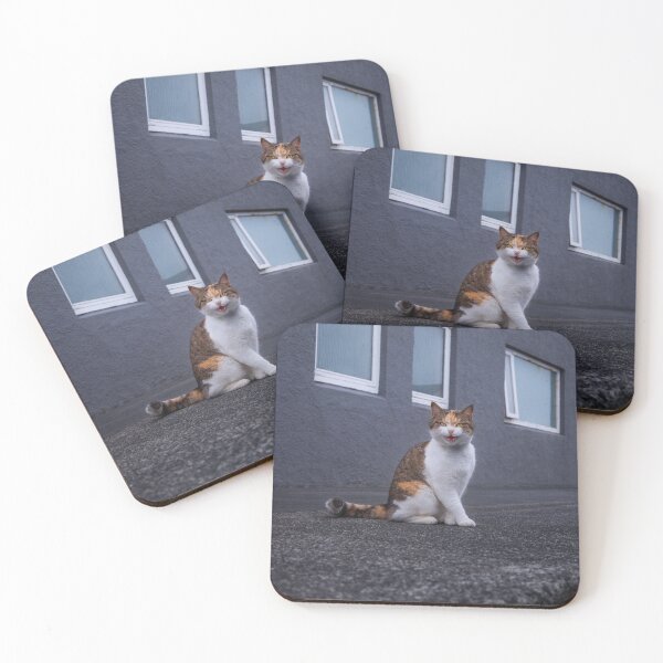 Item preview, Time spent talking with a cat is never wasted. designed and sold by Alex Preiss.