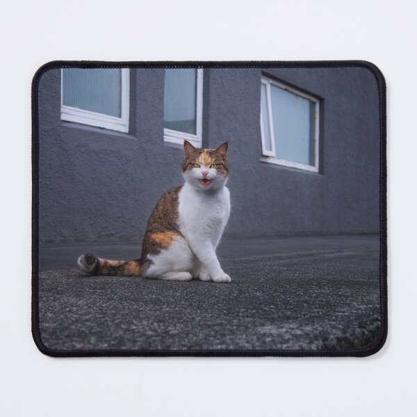Item preview, Time spent talking with a cat is never wasted. designed and sold by Alex Preiss.