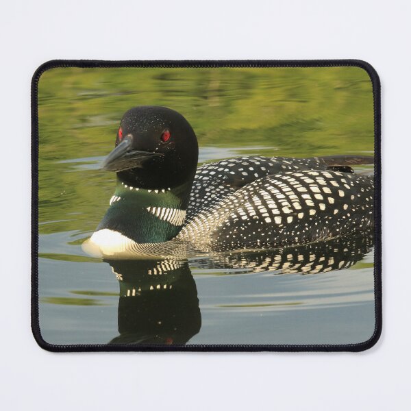 Item preview, Common Loon at Lake Luzerne designed and sold by Chris Coates Photography.com.