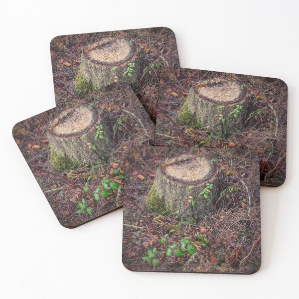Item preview, Reclamation designed and sold by Steve Walser.