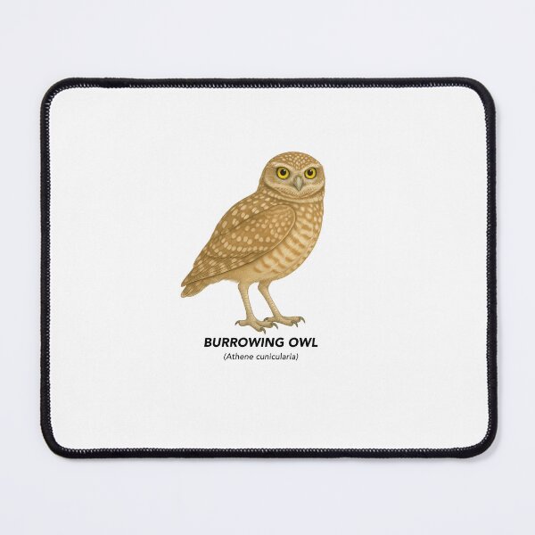 Item preview, BURROWING OWL - California Birds COLLECTION designed and sold by CaliforniaVibe.