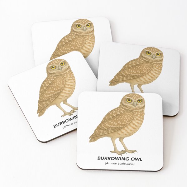 Item preview, BURROWING OWL - California Birds COLLECTION designed and sold by CaliforniaVibe.