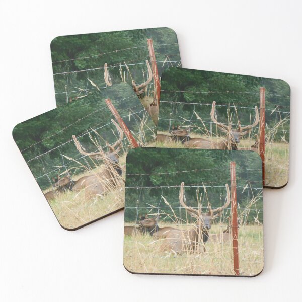 Item preview, Wild Elk Watching From Behind Fence designed and sold by starcraft542.