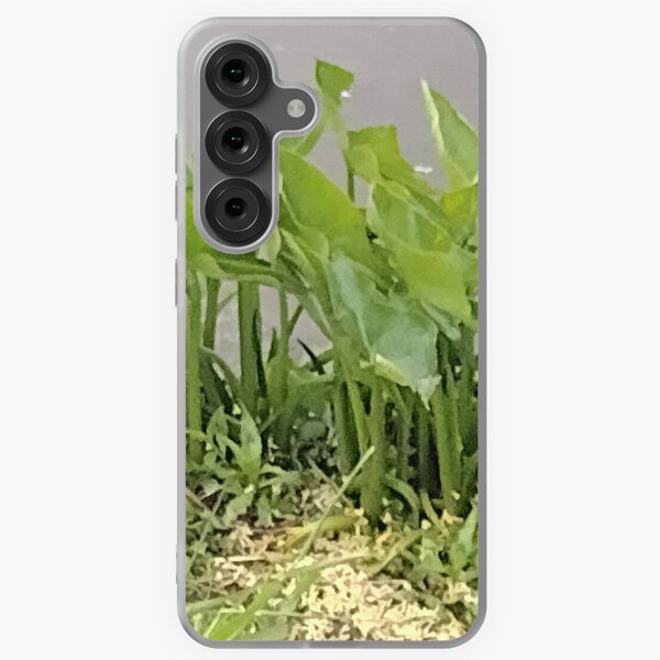 Item preview, Water Fronds designed and sold by TinyTrails.