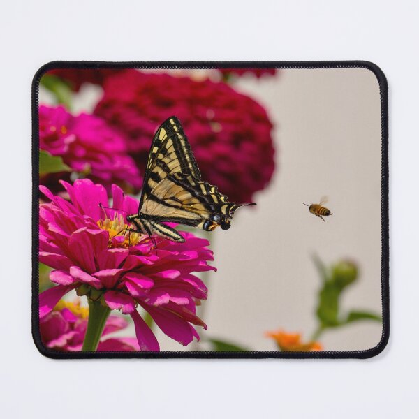 Item preview, Tiger Swallowtail Butterfly in Zinnias p6  designed and sold by Cblifeisgood.